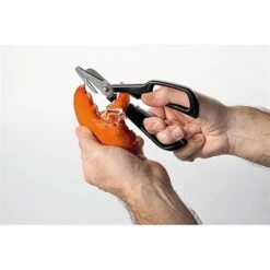 Ciseaux à Crustacés Noir -Cuisine Appareils Magasin 45120 3 3 Ciseaux a crustaces noir Moha