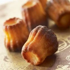 Lot Flexi'Plaque Silicone 30 Mini-canelés Et Entonnoir à Piston Pro -Cuisine Appareils Magasin 519072 2 1 Lot Flexi Plaque silicone 30 mini caneles et entonnoir a piston pro Mathon