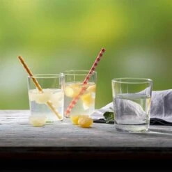 Presse-agrume For Drinks -Cuisine Appareils Magasin 613032 2 1 Presse agrume For Drinks Betty Bossi