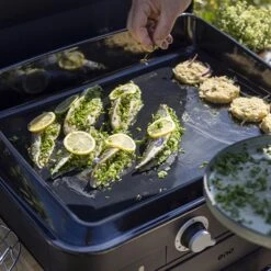 Plancha à Gaz Combo Enosign 65 Bleu Navy 2 Feux -Cuisine Appareils Magasin 781013 3 4 Plancha a gaz Combo enosign 65 bleu navy 2 feux ENO